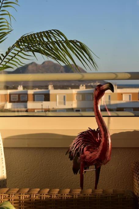 Ático Los Flamingos. Exclusive terrace with views Cabo De Gata Exterior foto